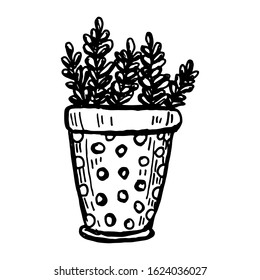 Hand drawn plants and tree branches with leaves. Vector floral silhouettes. Graphic design elements. Black and white botanical illustration.