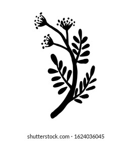 Hand drawn plants and tree branches with leaves. Vector floral silhouettes. Graphic design elements. Black and white botanical illustration.