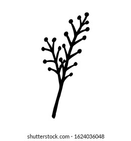 Hand drawn plants and tree branches with leaves. Vector floral silhouettes. Graphic design elements. Black and white botanical illustration.