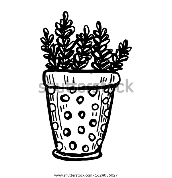 Hand drawn plants and tree branches with\
leaves. Vector floral silhouettes. Graphic design elements. Black\
and white botanical\
illustration.