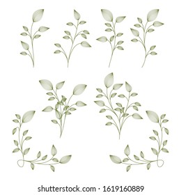 Hand drawn plants vector collection. Botanical set of sketch Leaf and flowers 