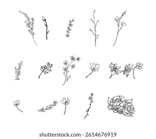Hand drawn plants vector on black colour