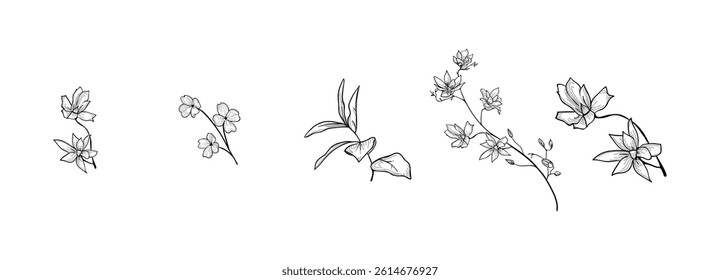 Hand drawn plants vector on black colour