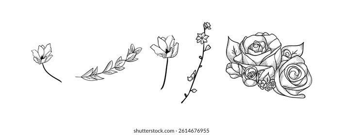 Hand drawn plants vector on black colour