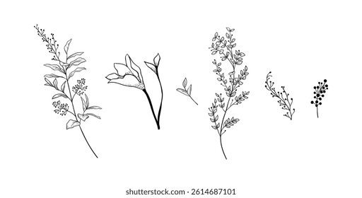 Hand drawn plants vector on black colour