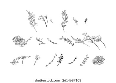 Hand drawn plants vector on black colour