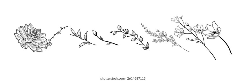Hand drawn plants vector on black colour