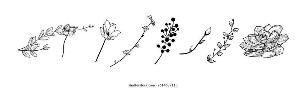 Hand drawn plants vector on black colour