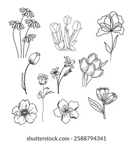 Hand drawn plants. Vector pictures isolate on white. Illustration of sketch floral drawing, natural flower and flora