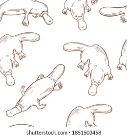 Hand drawn platypus (Ornithorhynchus anatinus ). Vector  seamless pattern.