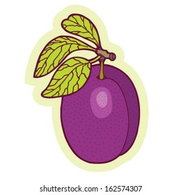 Hand drawn plum cartoon vector.