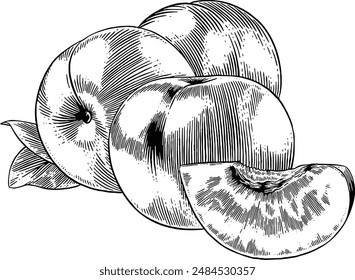 Dibujado a mano Ciruela Fruta Sketch Illustración