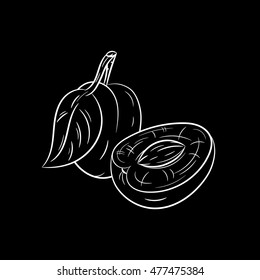 Hand drawn plum sketch isolated on black background. Organic food. Vector engraved illustration