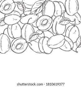 Hand drawn plums. Vector background. Sketch  illustration.