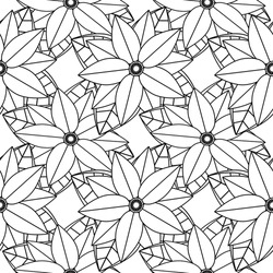 Hand Drawn Poinsettia Flower. Plant Design Elements. Botanical Seamless Pattern. Coloring Page With Poinsettia