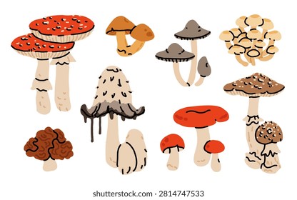 Hand drawn poisonous mushroom set: fly agaric, false morel, fool's webcap, false parasol, sulphur tuft, shaggy mane, sickener, and panther cap in red, brown, gray, and yellow colors.
