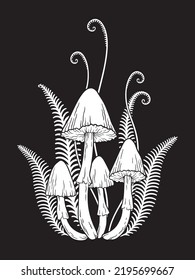 Hand drawn poisonous mushrooms and fern in graphic style isolated vector illustration