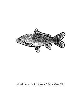 Hand Drawn Poke fish Logo Ideas. Inspiration logo design. Template Vector Illustration. Isolated On White Background