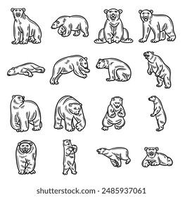 Hand Drawn Polar Bear No Color Set