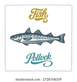 Hand drawn Pollock fish illustration in vintage engraving style with lettering. Perfect for seafood design, restaurant branding, menus, labels, posters, and packaging. Part of set.