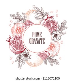Hand drawn pomegranate composition. Vector engraved illustration. Juicy natural fruit. Food healthy ingredient. For cooking, cosmetic package design, medicinal herb, treating, healt care.