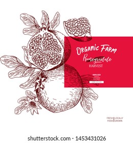 Hand drawn pomegranate composition. Vector engraved illustration. Juicy natural fruit. Food healthy ingredient. For cooking, cosmetic package design, medicinal herb, treating, healthcare
