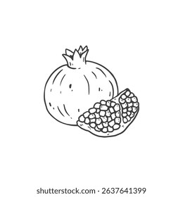 Hand drawn pomegranate fruit. Pomegranate Isolated element for design. Vector illustration
