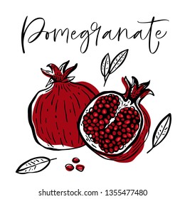 Hand Drawn Pomegranate Fruit And Plant. Vector Illustration.