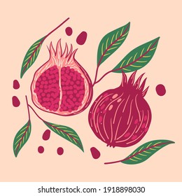 Hand drawn pomegranate fruit and plant. Vector  colored illustration. Juicy natural fruit. Food healthy ingredient. For cooking, cosmetic package design, medicinal herb, treating, half care, prints.
