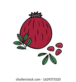 Hand drawn pomegranate fruit, pomegranate seeds, leaves isolated on a white background. Doodle, simple outline illustration. It can be used for decoration of textile, paper and other surfaces.
