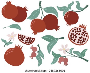 Set de fruta de granada dibujada a mano. Frutos maduros de granada, crecimiento de frutos, granada rota, floración, ramita con hojas y flores. Colección simple de deliciosas frutas frescas, gráficos de Vector