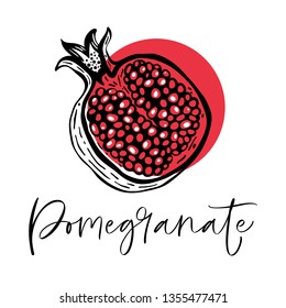 Hand drawn pomegranate fruit. Vector illustration.