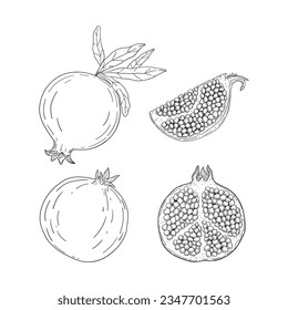 Hand drawn pomegranate fruits set