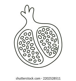 Icono de granada dibujado a mano, dibujo de fruto lineal, mitad de granada jugosa con semillas, ilustración de doodle vectorial, clipart de contorno aislado sobre fondo blanco, frutos orgánicos sanos