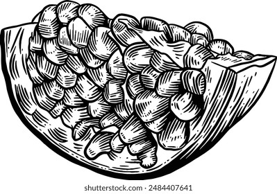 Hand drawn Pomegranate Sketch Illustration