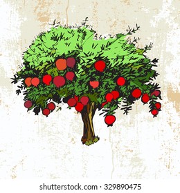 Hand drawn pomegranate tree on grunge background
