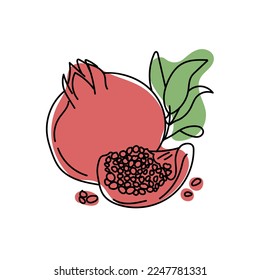 Hand drawn pomegranate. whole and sliced pomegranate in minimal style. vector illustration