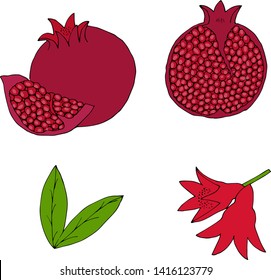 Hand drawn pomegranates color collection. 