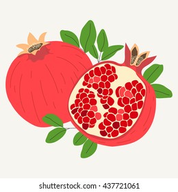 Hand drawn pomegranates in one piece and sliced in half isolated on white background. Vector illustration.