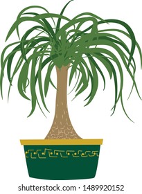 Hand Drawn Ponytail Palm Tree Houseplant with Dark Green Decorative Plant Pot - Isolated on White Background - Vector Illustration Drawing