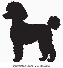 Hand drawn Poodle dog silhouette