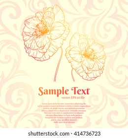 hand drawn poppies. flower vector illustration