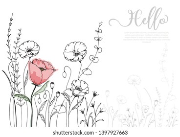 Hand drawn poppy blossom with black line