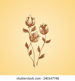 Hand drawn poppy flower. Element for your geenting design. Vector sketch bouquet.