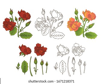 Hand drawn poppy flowers clipart. Floral design element. Isolated on white background. Vector illustration.