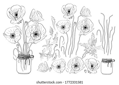 Hand drawn poppy flowers in mason jar clipart monochrome set. Floral design element. Isolated on white background. Vector illustration.