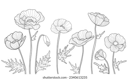 Hand drawn poppy flowers on white background. Doodle drawing. Floral outline design. Vector illustration