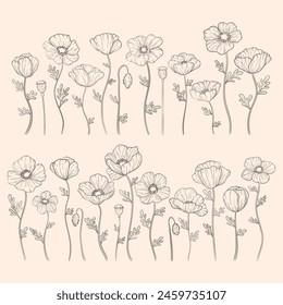 Hand drawn poppy flowers set. Poppies plant flower line art. Papaver rhoeas, Common poppy plant