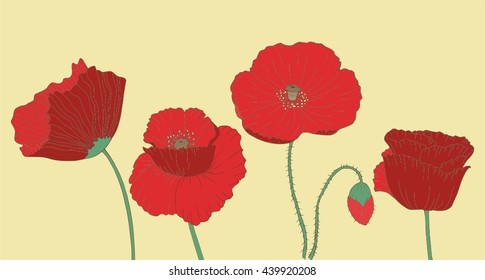 Hand drawn poppy flowers, vector illustration