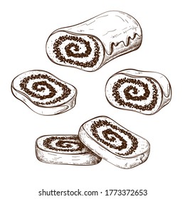 hand drawn poppy seed cake or strudel with slices isolated on white. bun or roll filled with poppy seeds set. engraved pastry sketch. Vector illustration of polish traditional dessert. christmas cake